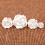 Petite Roses-Mixed Sizes-White