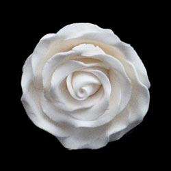 Fancy Gum Paste Rose-Large-White (No Wire)