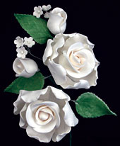 Radox Rose Spray - White
