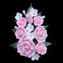 Formal Rose Spray - Pink