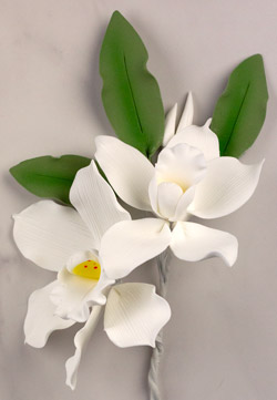White Cymbidium Orchid Spray