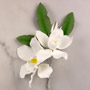 White Cymbidium Orchid Spray