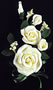 Tea Rose Spray - Lemon Yellow-7