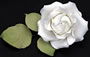 Jumbo Cabbage Rose & Leaf Set-White