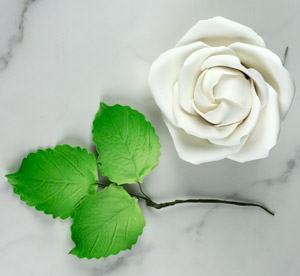 Jumbo Cabbage Rose & Leaf Set-White