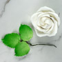 Jumbo Cabbage Rose & Leaf Set-White