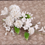 Cymbidium Spray - White-6 1/2
