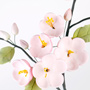 Apple Blossom Sprays