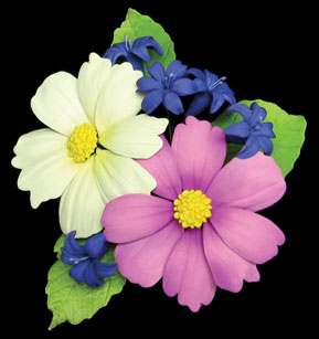 Cosmos Flair Spray