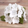 Hydrangea Bunches W/Leaves- White