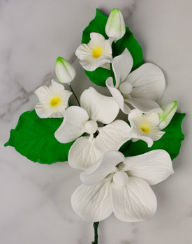 Lace Cap Hydrangea Spray - White