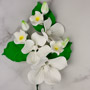 Lace Cap Hydrangea Spray - White