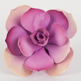 Lily Pad Succulent - Pink