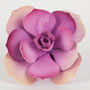 Lily Pad Succulent - Pink