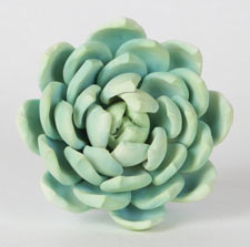 Snowball Succulent - Green
