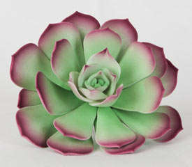 Desert Bloom Succulent - Green