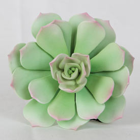 Desert Bloom Succulent - Light Green