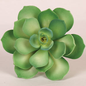Starburst Succulent - Green