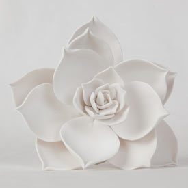Large Succulent - White