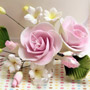 Dog Rose Spray - Small Pink