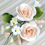 Dog Rose Spray - Small Peach