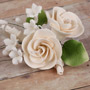 Dog Rose Spray - Small Ivory
