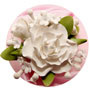 Gardenia Topper