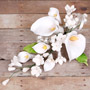 Calla Lily Small Spray - White