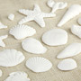 Sea Shells - White - Asst Sizes