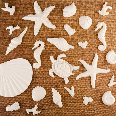 Sea Creatures - Fondant - Asst.