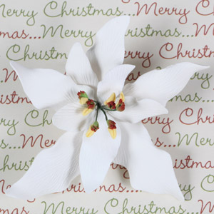 Poinsettia - Fancy Small White (Gumpaste