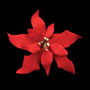 Poinsettia - Fancy Small Red (Gumpaste)