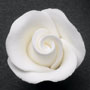 RR Roses - Rosebud - White