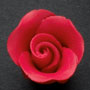 RR Roses - Rosebud - Red