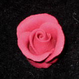 RR Roses - Rosebud - Burgundy