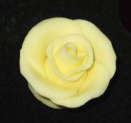 RR Roses - Small - Yellow