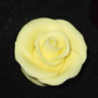 RR Roses - Small - Yellow
