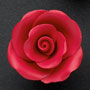 RR Roses - Small - Red