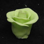 RR Roses - Small - Light Green