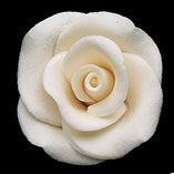 RR Roses - Small - Ivory