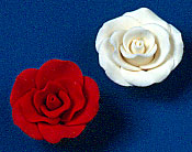 RR Roses - Medium - White