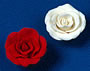 RR Roses - Medium - White