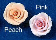 RR Roses - Medium - Pink