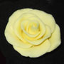 RR Roses - Medium - Yellow