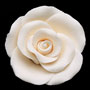 RR Roses - Medium - Ivory