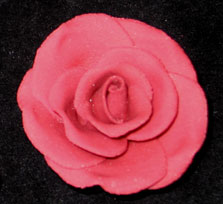 RR Roses - Medium - Burgundy