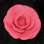RR Roses - Medium - Burgundy