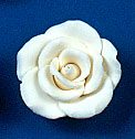 RR Roses - Large - White