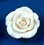 RR Roses - Large - White