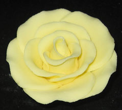 RR Roses - Large - Yellow